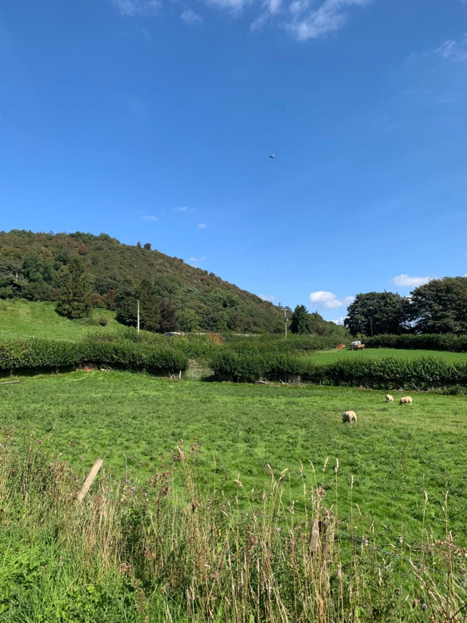 Pant-Y-Creolen Apartment Llanfyllin ภายนอก รูปภาพ